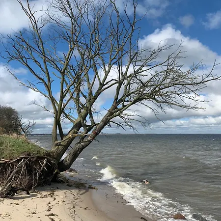 Boddenhus Nyaraló *